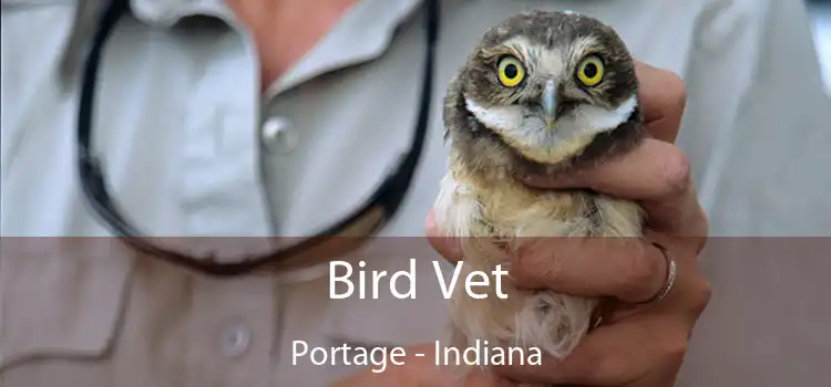 Bird Vet Portage - Indiana