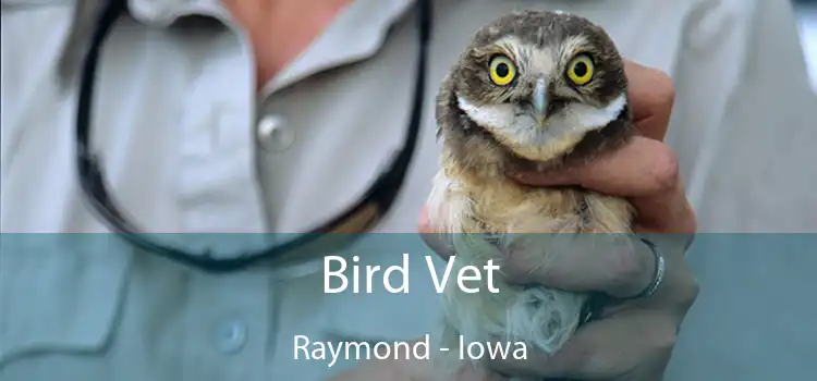 Bird Vet Raymond - Iowa