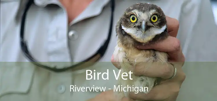 Bird Vet Riverview - Michigan