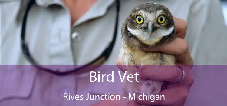 Bird Vet Rives Junction - Michigan