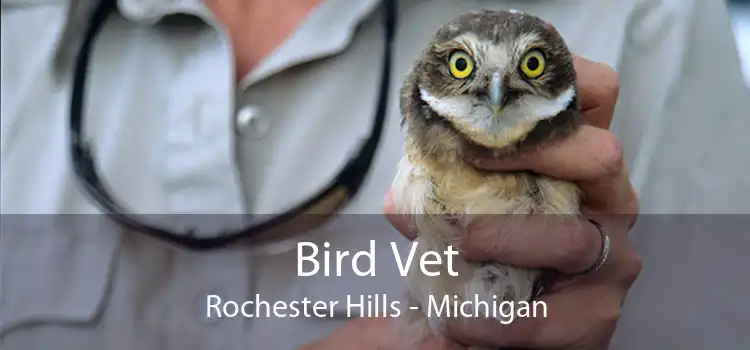 Bird Vet Rochester Hills - Michigan