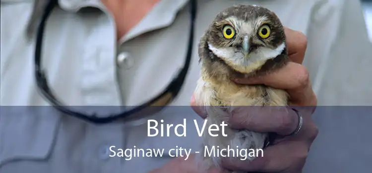 Bird Vet Saginaw city - Michigan