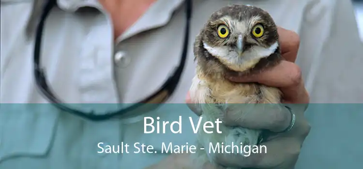 Bird Vet Sault Ste. Marie - Michigan