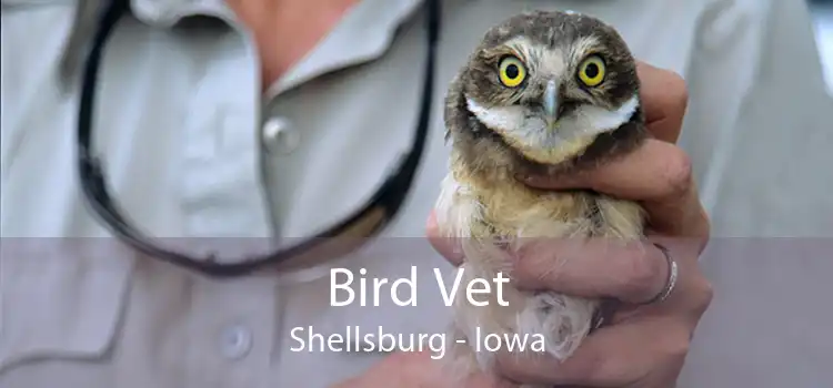 Bird Vet Shellsburg - Iowa