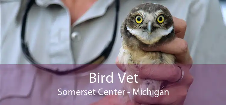 Bird Vet Somerset Center - Michigan