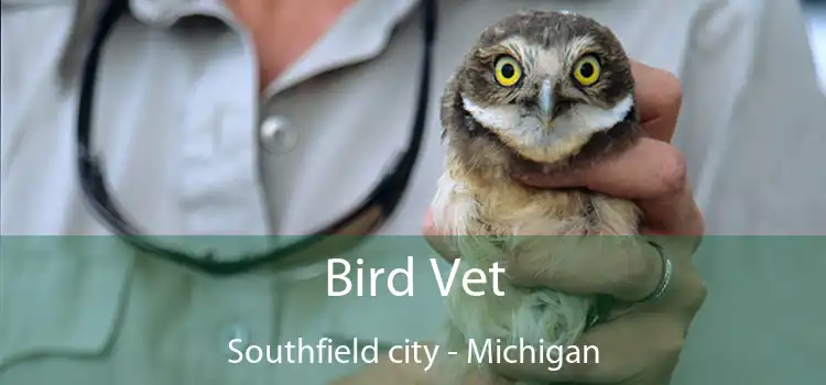 Bird Vet Southfield city - Michigan