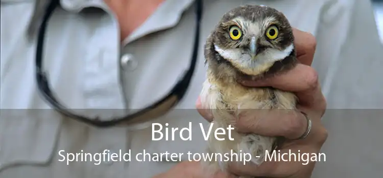 Bird Vet Springfield charter township - Michigan