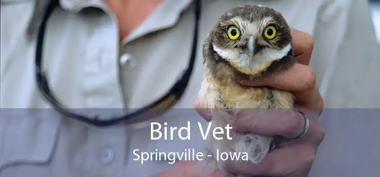 Bird Vet Springville - Iowa