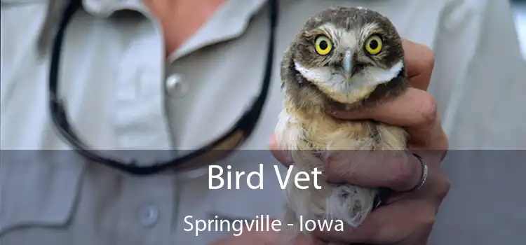 Bird Vet Springville - Iowa