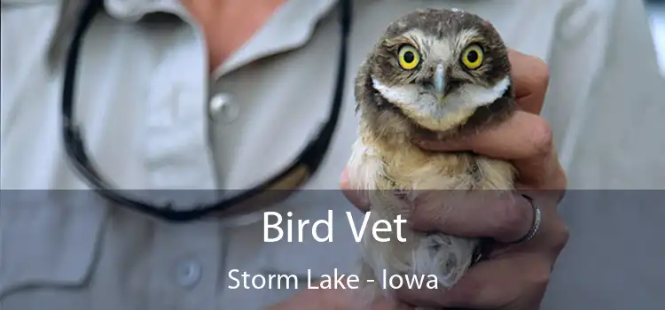 Bird Vet Storm Lake - Iowa