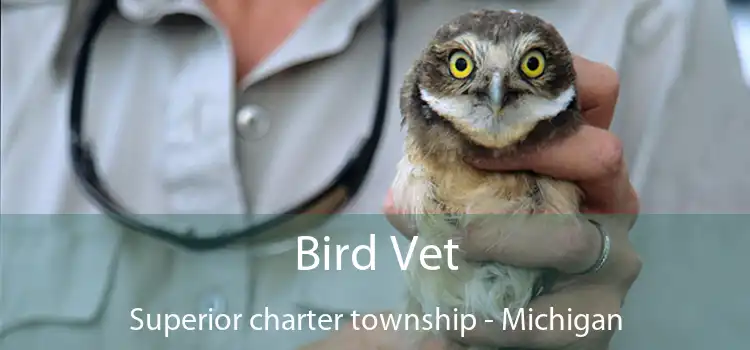 Bird Vet Superior charter township - Michigan