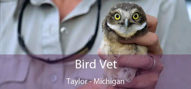 Bird Vet Taylor - Michigan