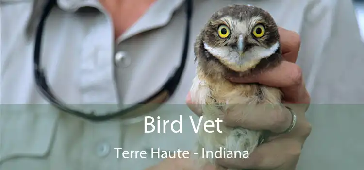 Bird Vet Terre Haute - Indiana