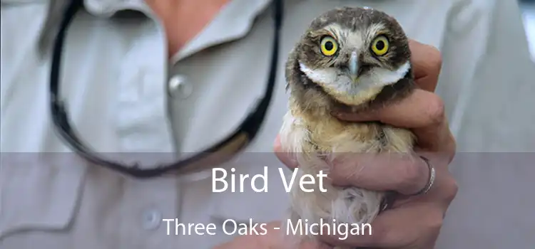 Bird Vet Three Oaks - Michigan