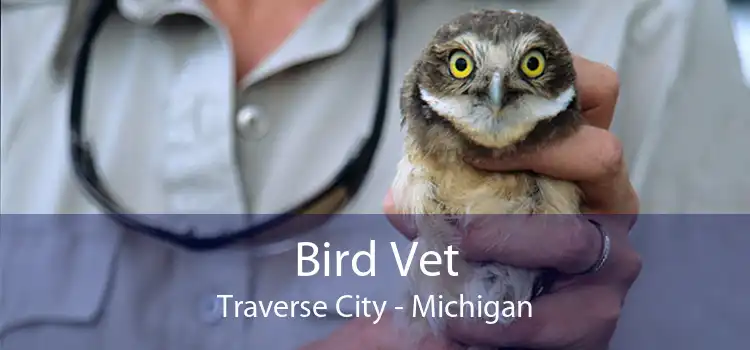 Bird Vet Traverse City - Michigan