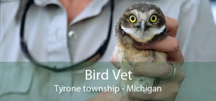 Bird Vet Tyrone township - Michigan