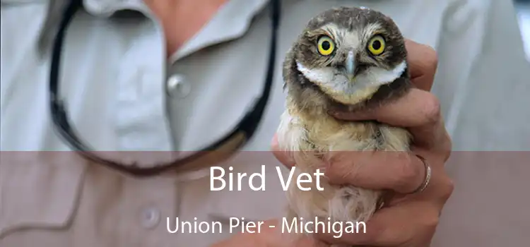 Bird Vet Union Pier - Michigan