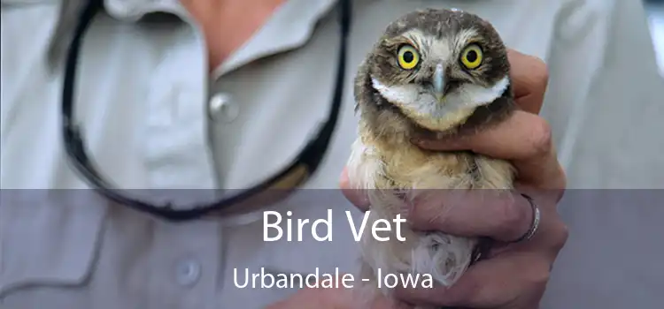 Bird Vet Urbandale - Iowa