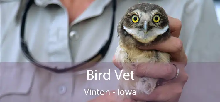 Bird Vet Vinton - Iowa