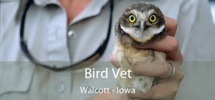 Bird Vet Walcott - Iowa