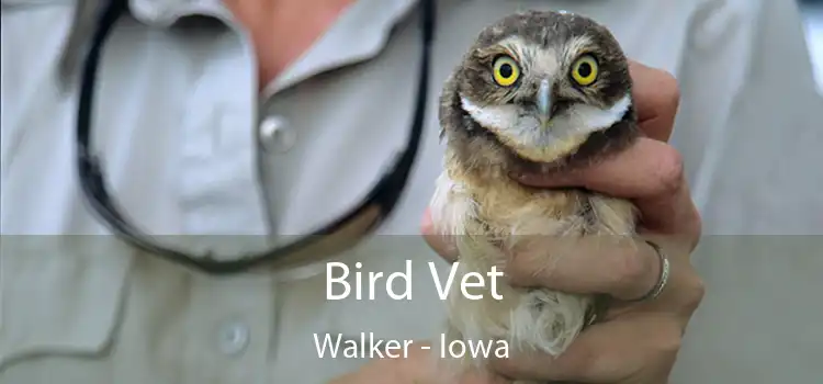 Bird Vet Walker - Iowa