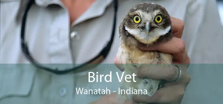 Bird Vet Wanatah - Indiana