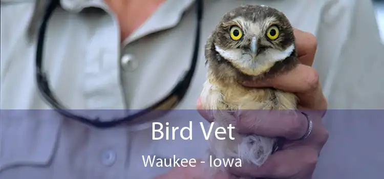 Bird Vet Waukee - Iowa