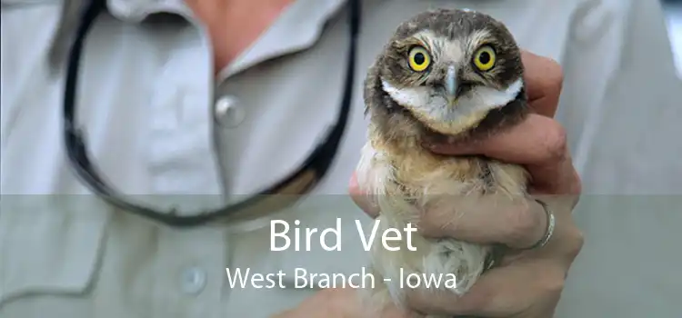 Bird Vet West Branch - Iowa