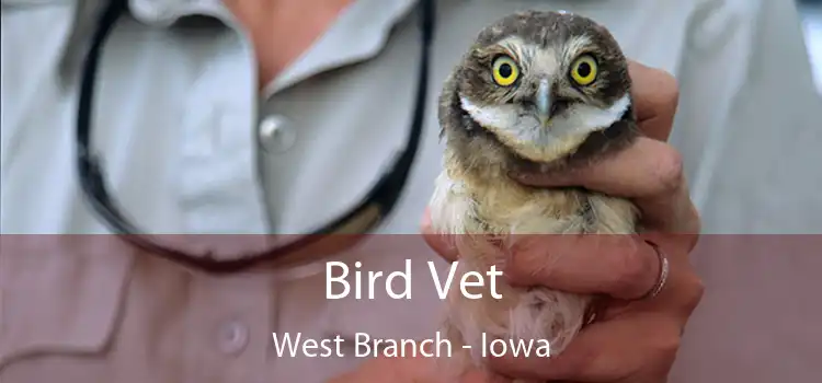 Bird Vet West Branch - Iowa