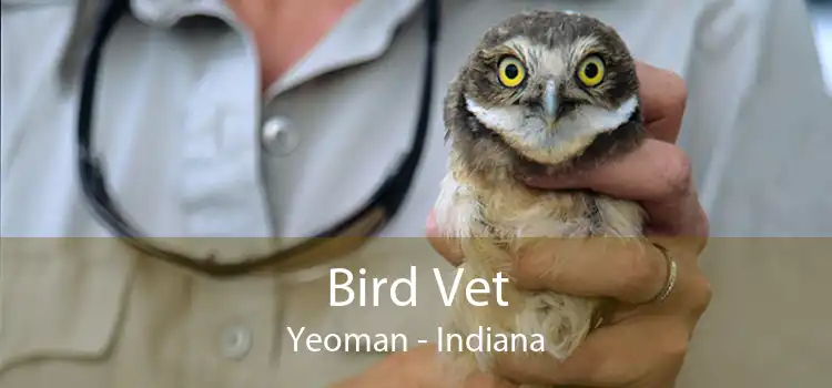 Bird Vet Yeoman - Indiana