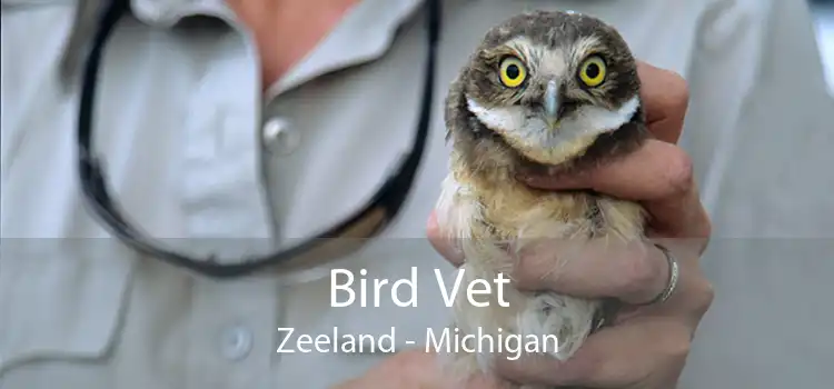 Bird Vet Zeeland - Michigan