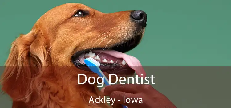 Dog Dentist Ackley - Iowa