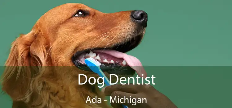 Dog Dentist Ada - Michigan