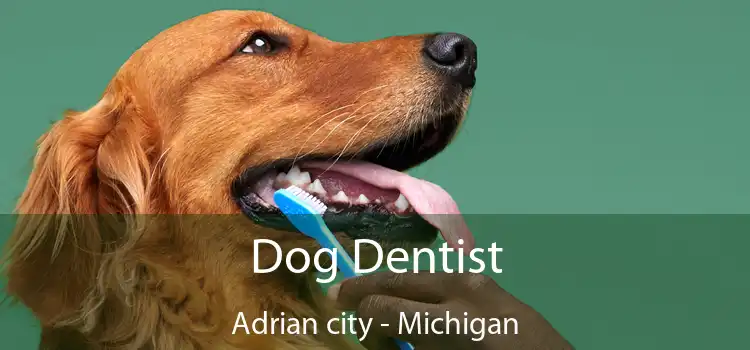 Dog Dentist Adrian city - Michigan