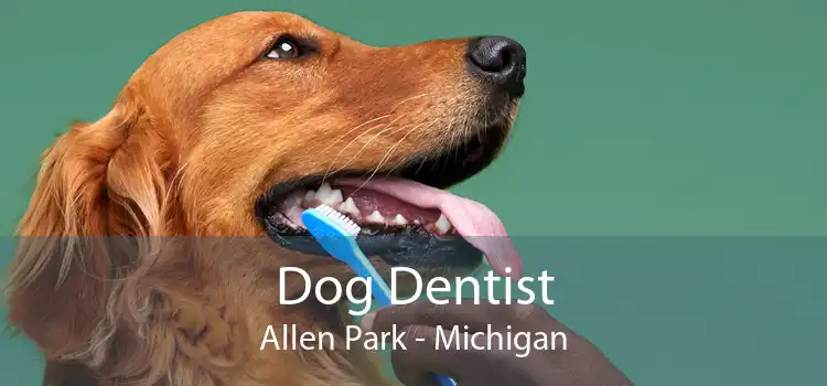 Dog Dentist Allen Park - Michigan