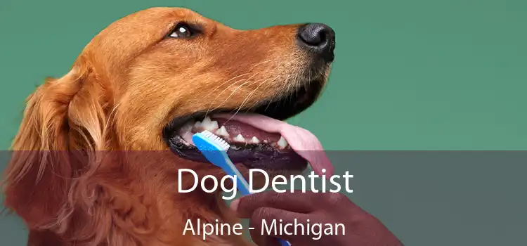 Dog Dentist Alpine - Michigan