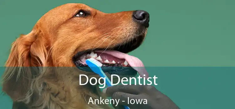 Dog Dentist Ankeny - Iowa