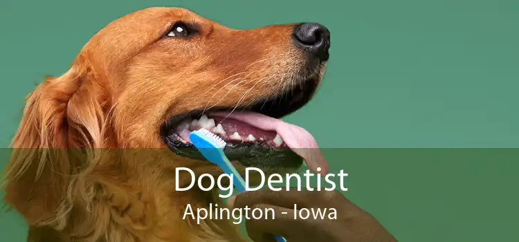 Dog Dentist Aplington - Iowa