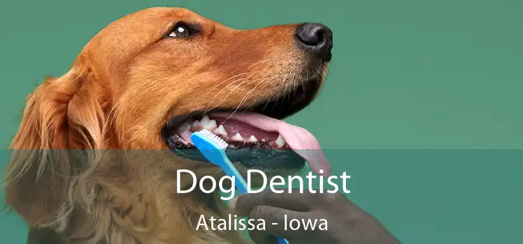 Dog Dentist Atalissa - Iowa