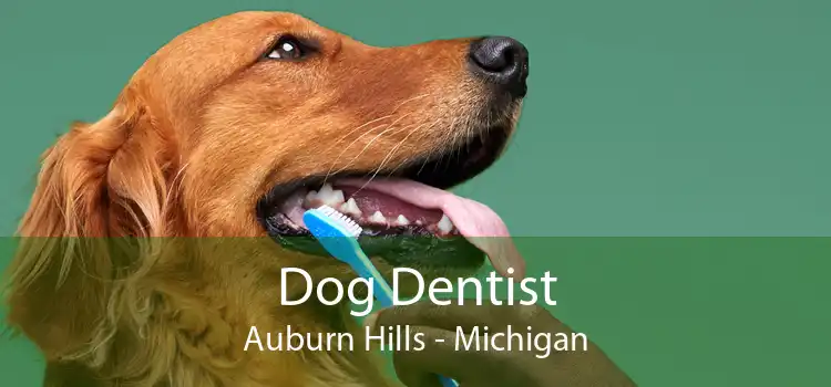 Dog Dentist Auburn Hills - Michigan