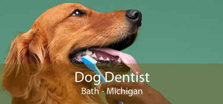 Dog Dentist Bath - Michigan