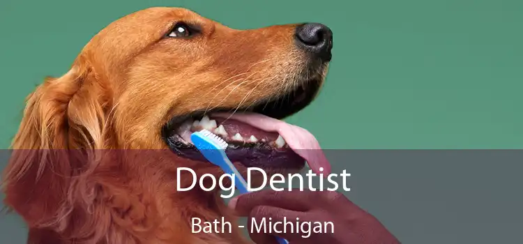 Dog Dentist Bath - Michigan