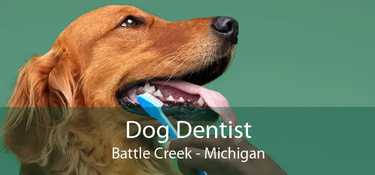 Dog Dentist Battle Creek - Michigan