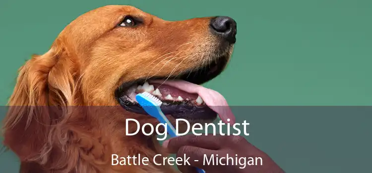 Dog Dentist Battle Creek - Michigan