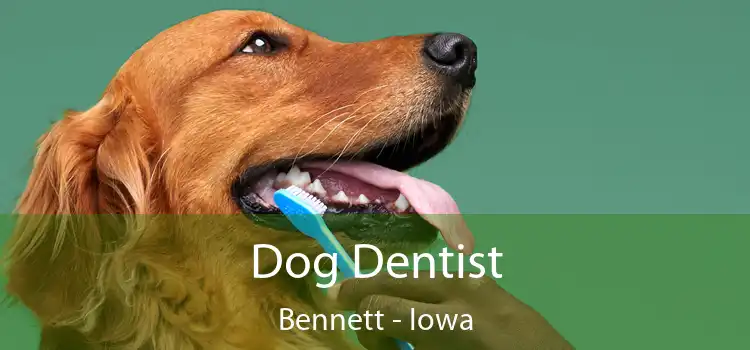 Dog Dentist Bennett - Iowa