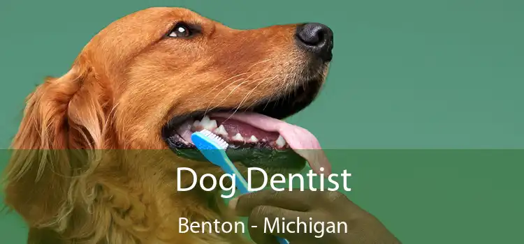 Dog Dentist Benton - Michigan