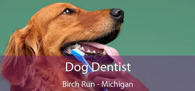 Dog Dentist Birch Run - Michigan