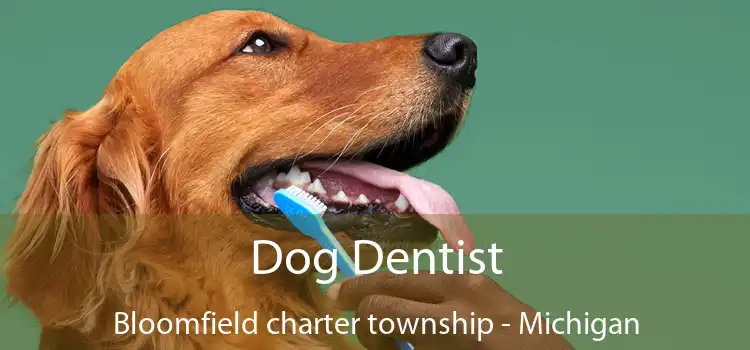 Dog Dentist Bloomfield charter township - Michigan