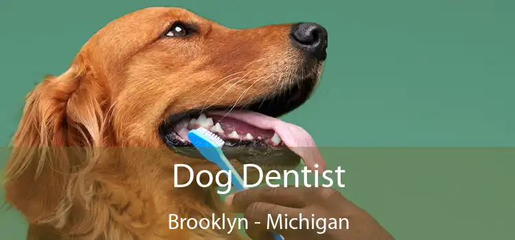 Dog Dentist Brooklyn - Michigan