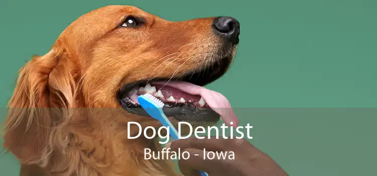 Dog Dentist Buffalo - Iowa